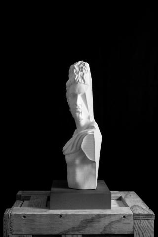 Middle Eastern Bust, from the series Provisional Originals